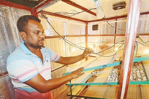 রংপুরের শাহিনুল ইসলাম: গ্রামের কৃষকদের জন্য স্বপ্নের কৃষি উদ্যোগ