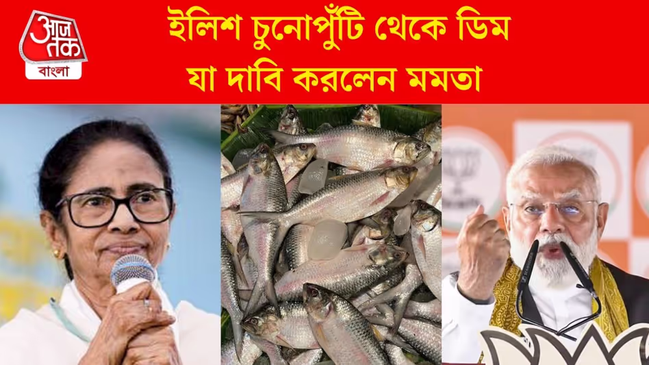 মাছ খেলে আপনাদের বাংলাদেশি বলা হবে: মমতা