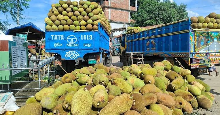 বাংলাদেশ থেকে যে কারণে কাঁঠাল নিতে চায় চীন