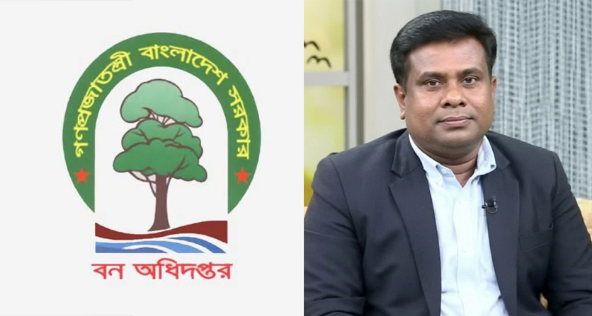 বন বিভাগের প্রভাবশালী কর্মকর্তার বিরুদ্ধে অনিয়মের অভিযোগ: বদলি, নিয়োগ ও বনভূমি নিয়ে প্রশ্ন উঠছে