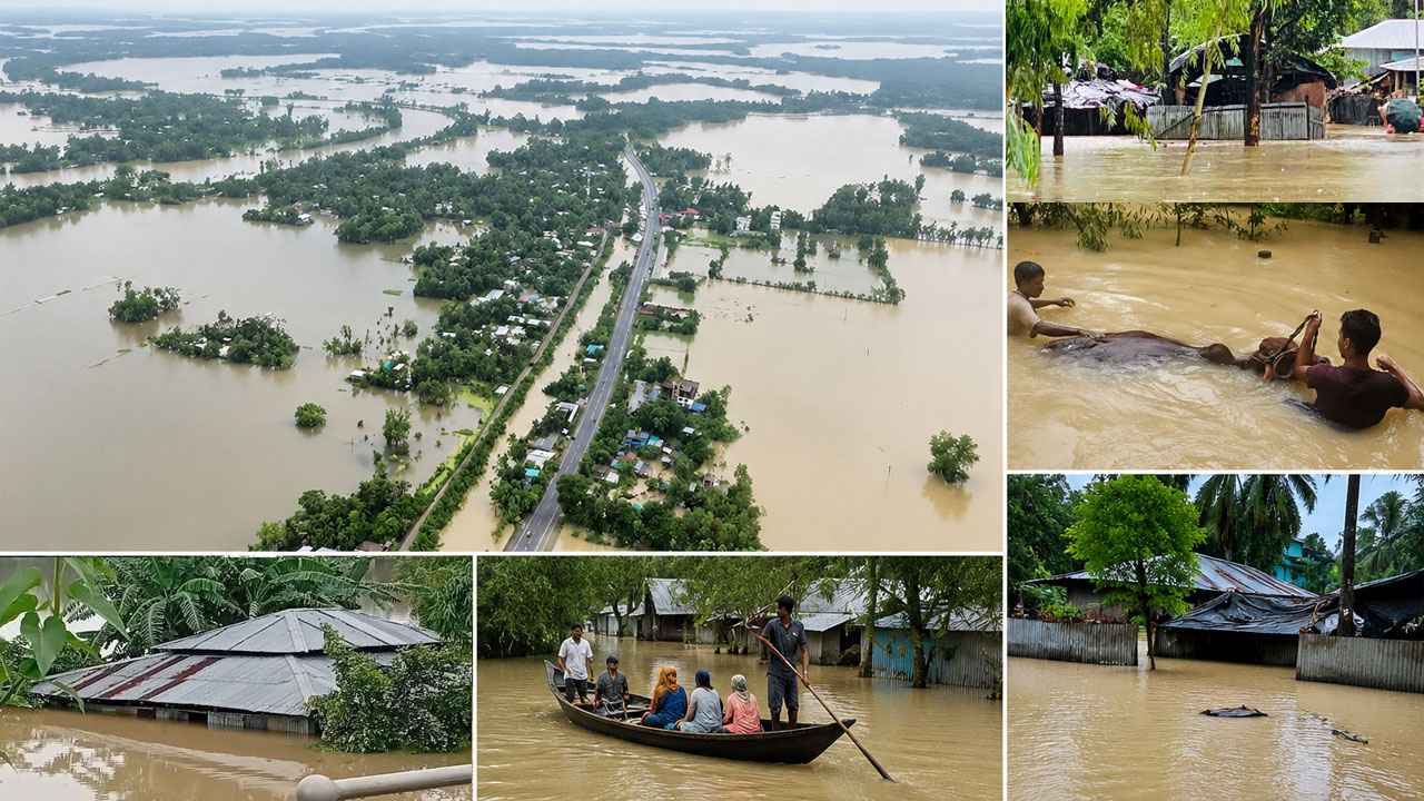 ৭ জেলায় পানিবন্দী লাখো পরিবার, মৃতের সংখ্যা ৫১