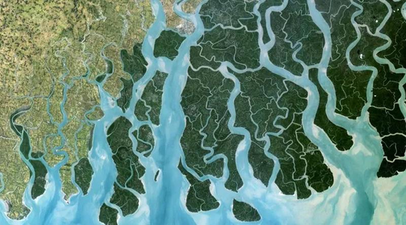 বাড়ছে সমুদ্রপৃষ্ঠের উচ্চতা: তলিয়ে যাওয়ার আশঙ্কায় বাংলাদেশের ৪ শতাংশ ভূমি