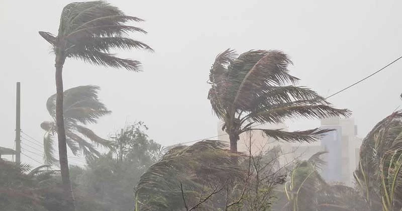 দেশের ছয় জেলায় দমকা হাওয়াসহ ঝড়-বৃষ্টির আশঙ্কা, নদীবন্দরে সতর্কতা