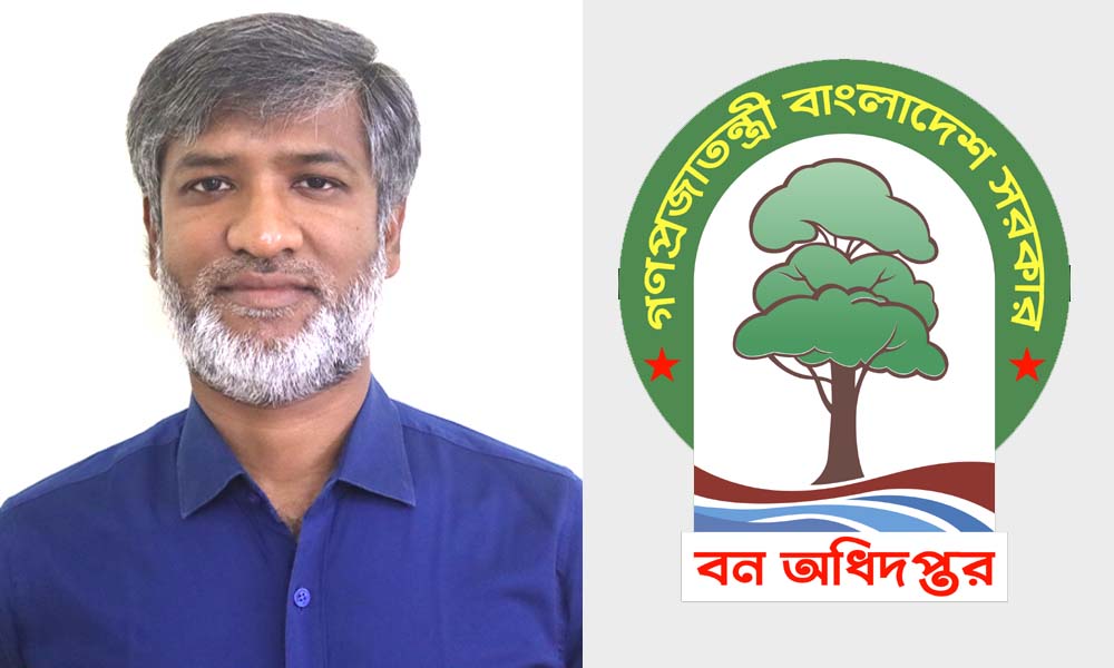 ঢাকা বন বিভাগে বনভূমি দখল ও গাছ কাটার অভিযোগ, ডিএফও বশিরুলকে ঘিরে প্রশ্ন