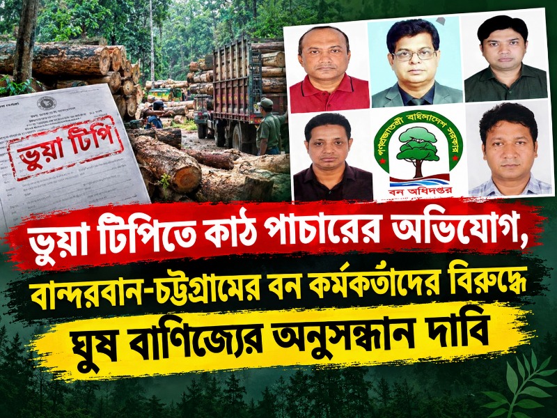 ভুয়া টিপিতে কাঠ পাচারের অভিযোগ, বান্দরবান-চট্টগ্রামের বন কর্মকর্তাদের বিরুদ্ধে ঘুষ বাণিজ্যের অনুসন্ধান দাবি