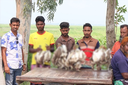 সিংড়ায় ৫০ বক জবাই, তিন শিকারির কারাদণ্ড